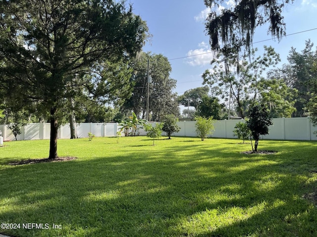 view of yard featuring a fenced backyard