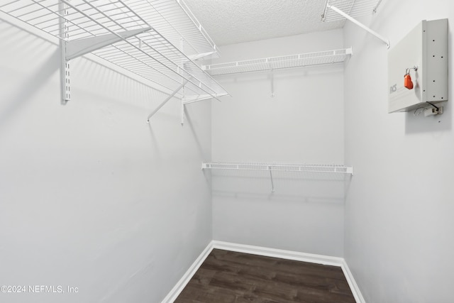 spacious closet featuring wood finished floors