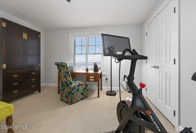 workout room featuring light colored carpet and a textured ceiling