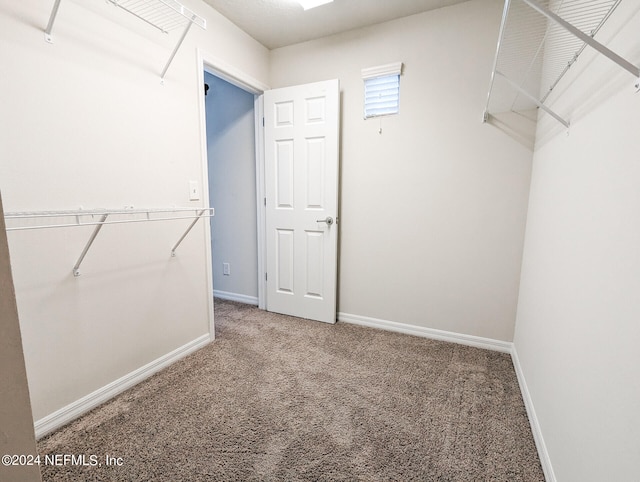 spacious closet with carpet flooring