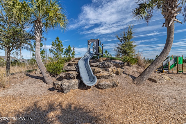 view of jungle gym