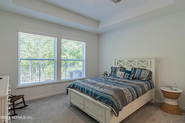 carpeted bedroom with multiple windows and a raised ceiling