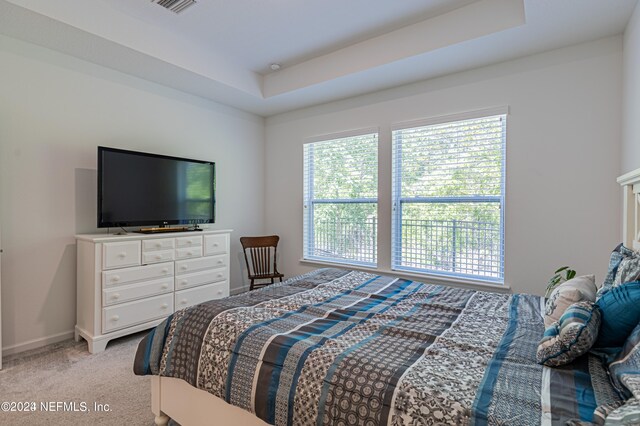 carpeted bedroom with a tray ceiling