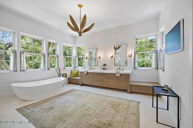 bathroom featuring a wealth of natural light, a tub, and vanity