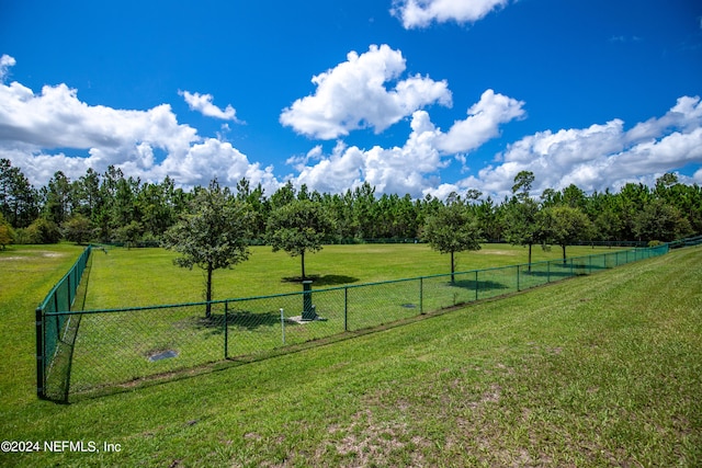 view of yard featuring a rural view