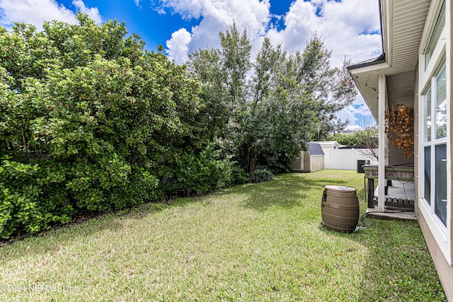 view of yard with a storage unit