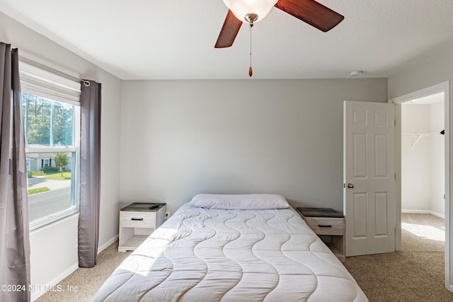 bedroom featuring light carpet, a walk in closet, ceiling fan, and a closet