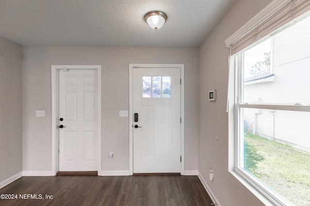 entrance foyer with dark wood-type flooring