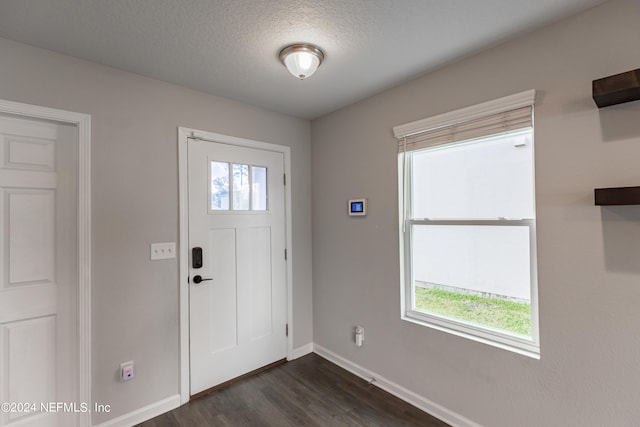 entrance foyer featuring dark hardwood / wood-style flooring, a wealth of natural light, and a textured ceiling