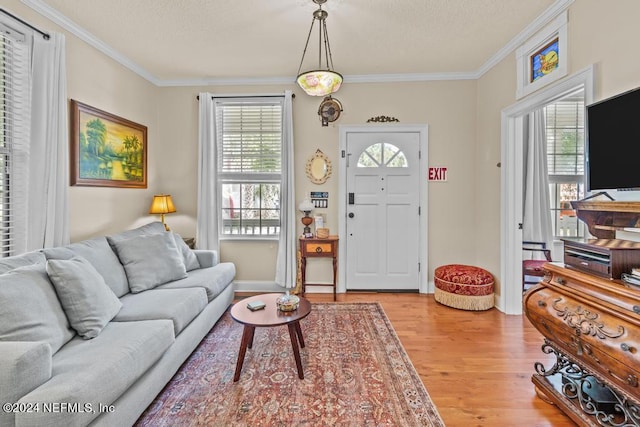 living room with a wealth of natural light, a textured ceiling, ornamental molding, and light wood finished floors