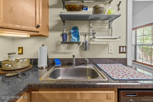 kitchen featuring dishwasher and sink