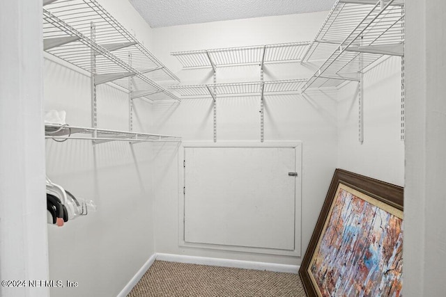 walk in closet with carpet