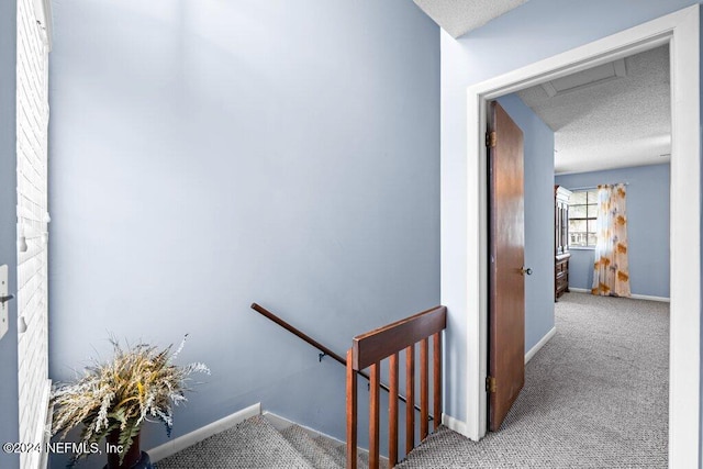 stairway with carpet and a textured ceiling