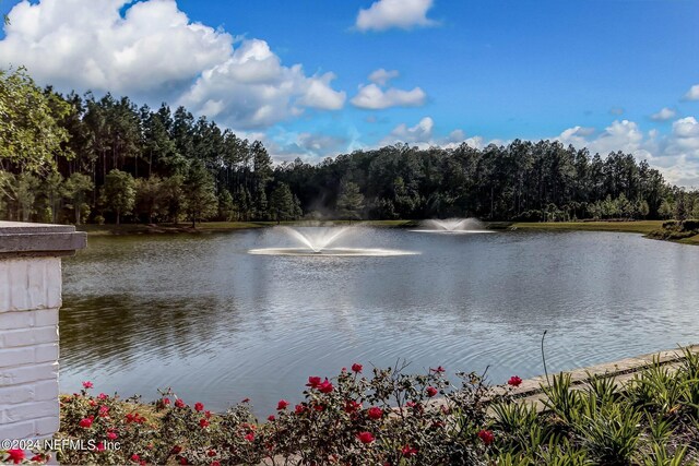 view of water feature