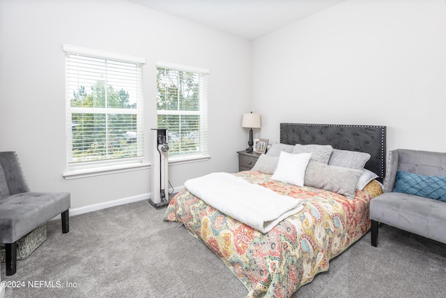 bedroom featuring baseboards and carpet