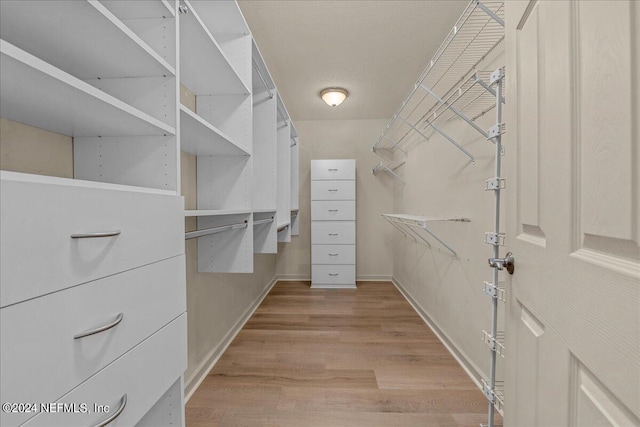 spacious closet featuring light wood-style floors