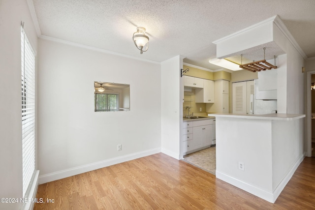 kitchen with ornamental molding, light wood-type flooring, a sink, and a textured ceiling