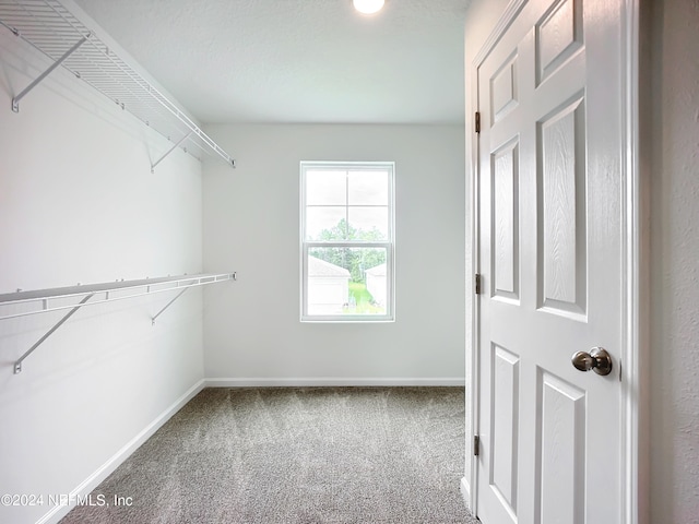 spacious closet featuring carpet floors