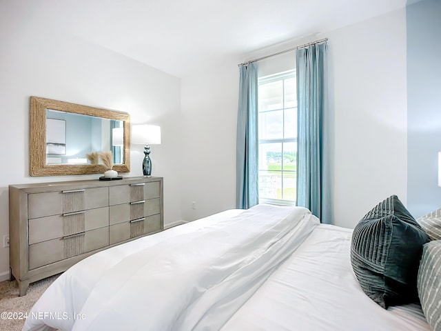 bedroom with carpet flooring