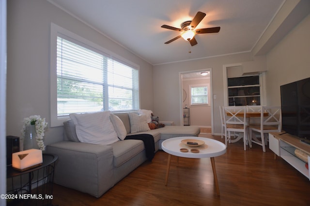 living room featuring dark hardwood / wood-style flooring, ornamental molding, and ceiling fan