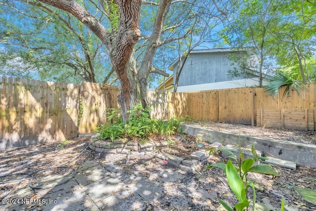 view of yard featuring a patio area