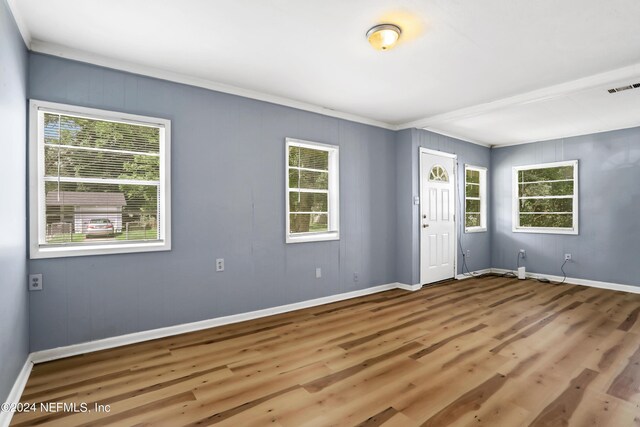 foyer entrance with plenty of natural light and wood-type flooring