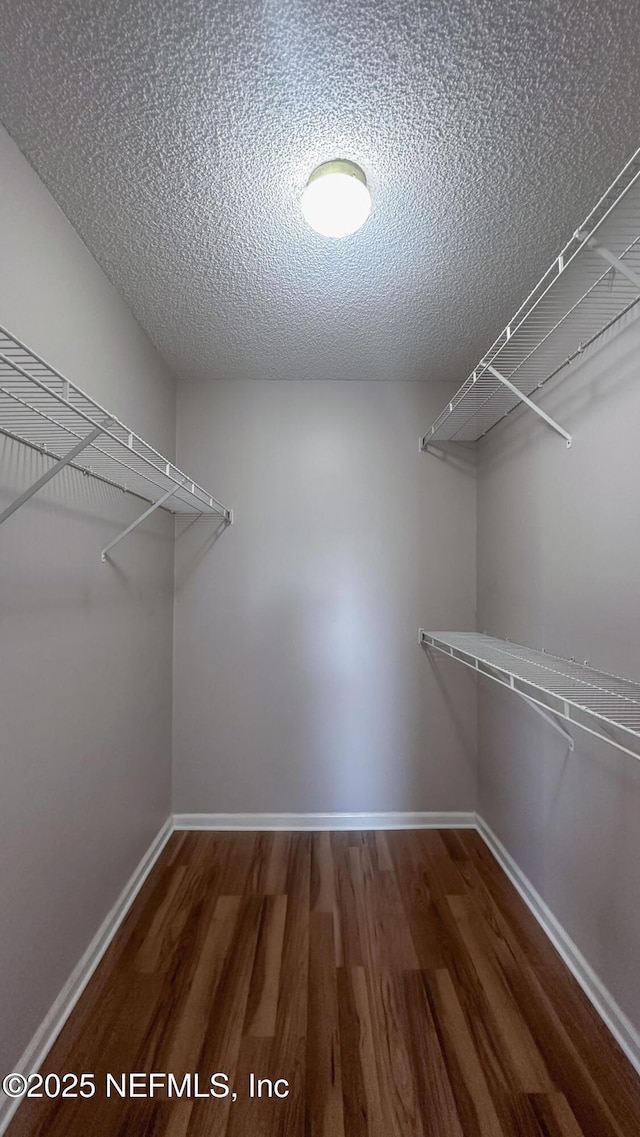 walk in closet featuring dark hardwood / wood-style floors