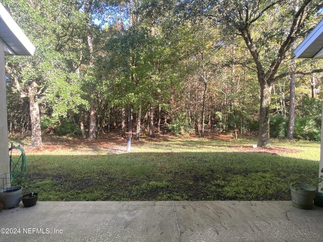 1912 White Dogwood Ln, Fleming Island, FL 32003 - view of yard