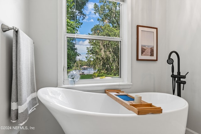 full bathroom with a freestanding bath and a wealth of natural light