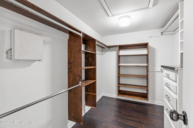 spacious closet featuring dark hardwood / wood-style flooring