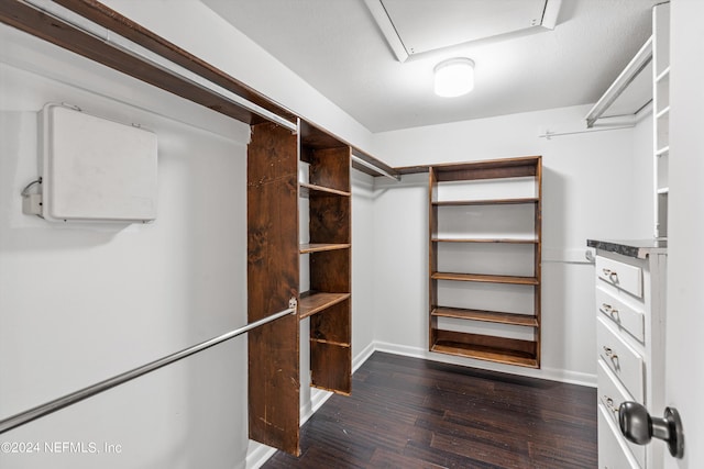 spacious closet with dark wood finished floors