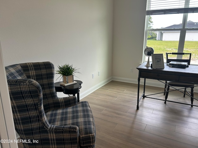 office with wood-type flooring