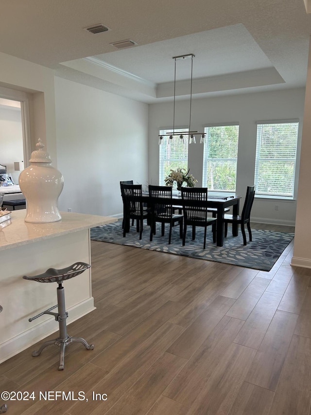 95246 Golden Glow Dr, Fernandina Beach, FL 32034 - dining room with a tray ceiling and dark wood-type flooring