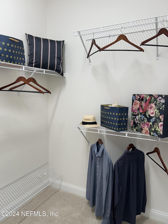 95246 Golden Glow Dr, Fernandina Beach, FL 32034 - spacious closet featuring carpet floors