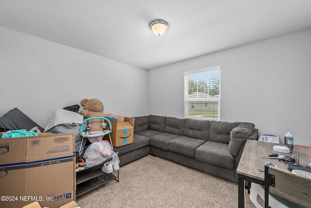 living room featuring light carpet and a textured ceiling