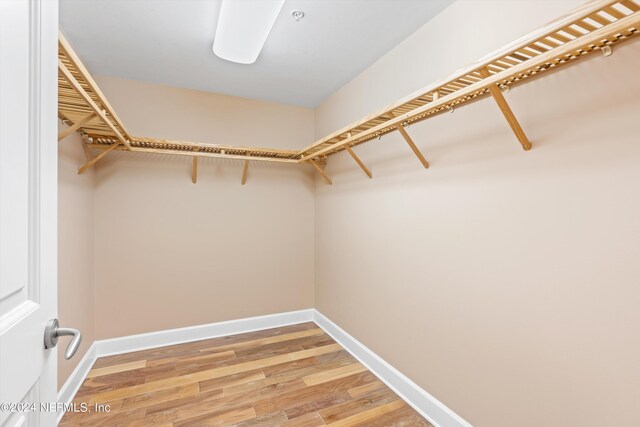 walk in closet featuring light hardwood / wood-style floors