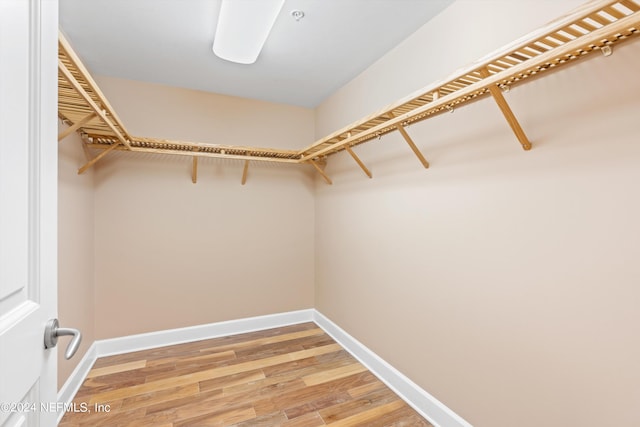 spacious closet with light wood-style flooring