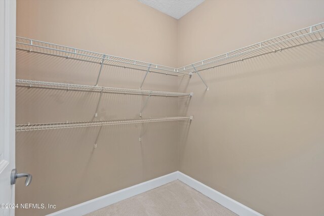 spacious closet featuring carpet flooring