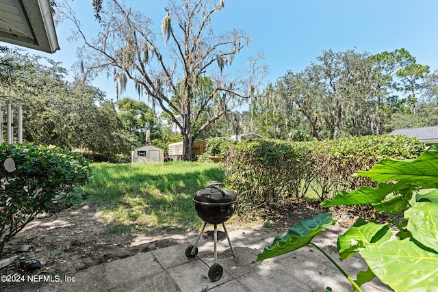 view of yard featuring a storage shed and a patio area