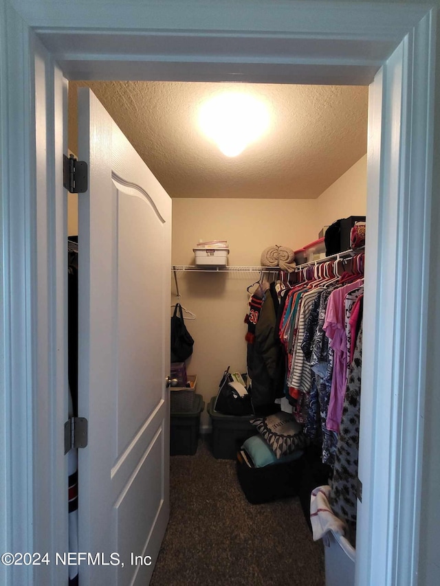 spacious closet with carpet