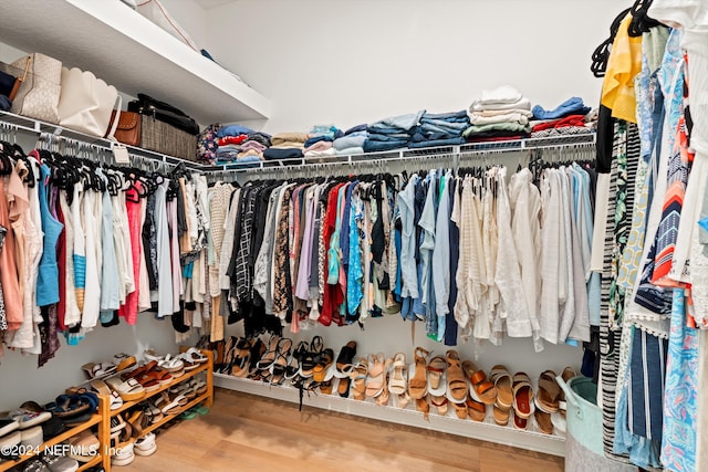 spacious closet with hardwood / wood-style floors