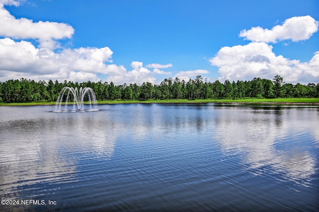 view of water feature