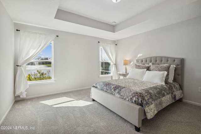 bedroom with multiple windows and carpet flooring