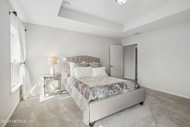 carpeted bedroom with a raised ceiling