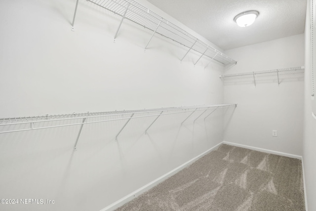 spacious closet with carpet flooring