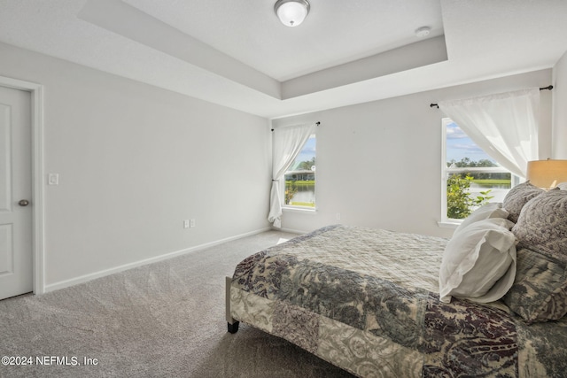 bedroom featuring a tray ceiling and carpet floors