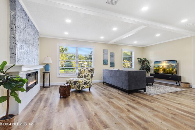 living room featuring plenty of natural light, a large fireplace, and light hardwood / wood-style floors