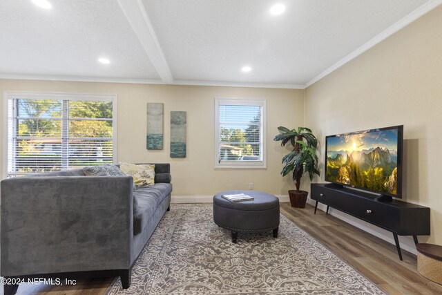 living room with a wealth of natural light, hardwood / wood-style floors, and beam ceiling