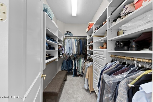 walk in closet with light colored carpet