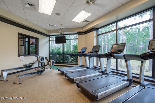 workout area with ceiling fan, carpet, and a drop ceiling